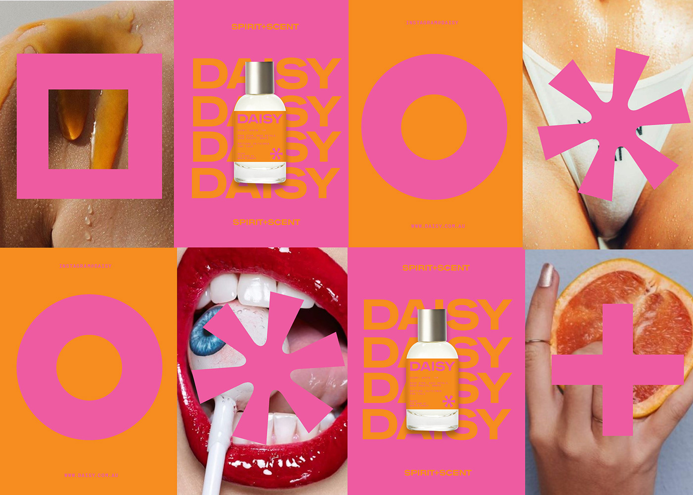 brand identitiy branding  perfume poster print design  spirit sydney typography  