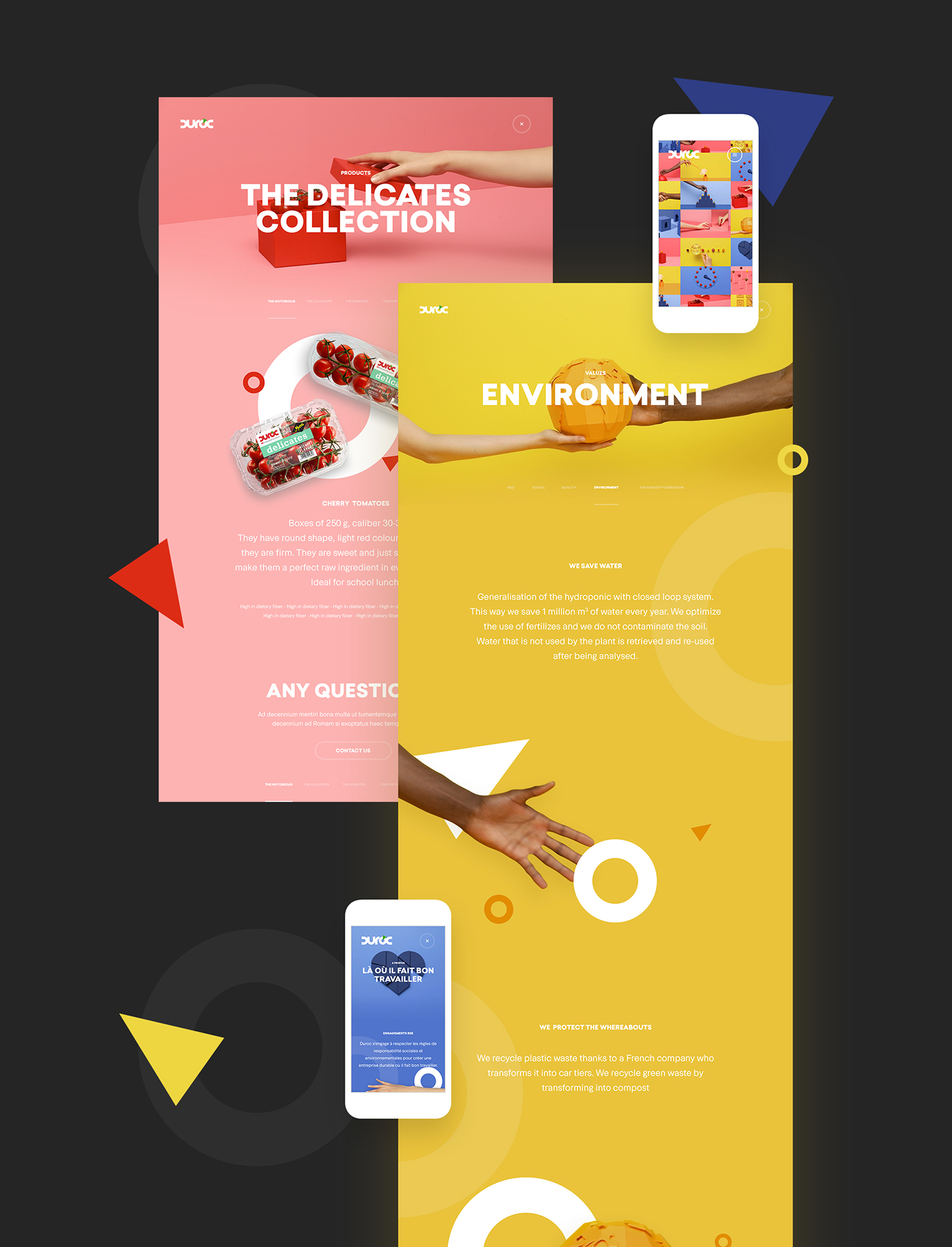 UI / UX motion design Tomato mobile Website Photography minimal color branding clean