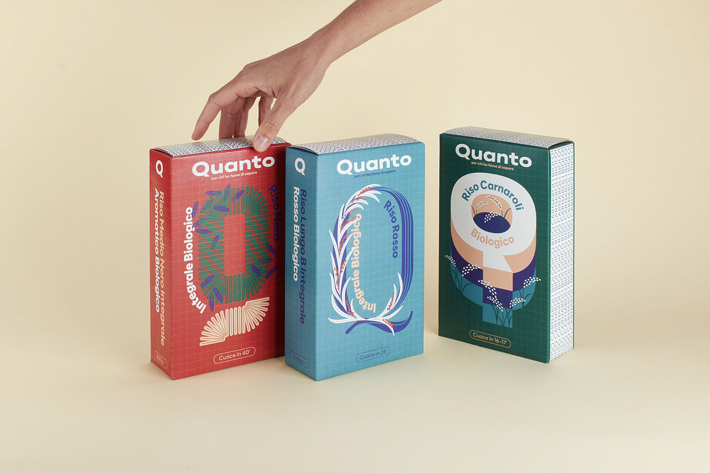 ILLUSTRATION  Illustrator Packaging research Rice Biologic brand identity organic