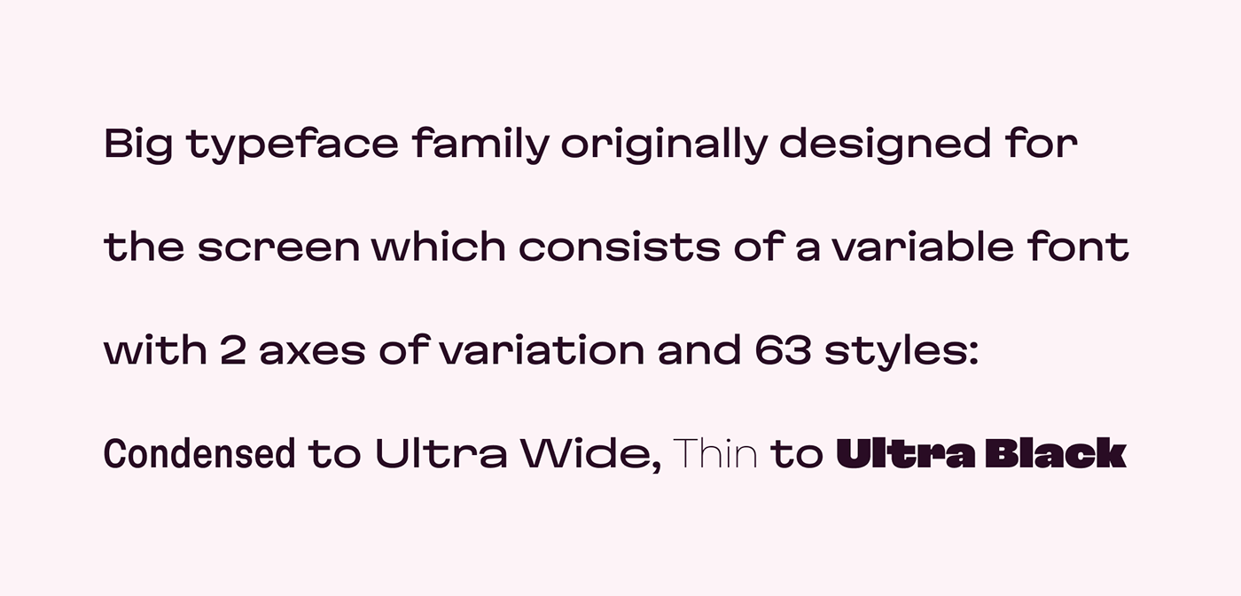 Text “Big typeface family originally designed for the screen which consists of a variable font with”