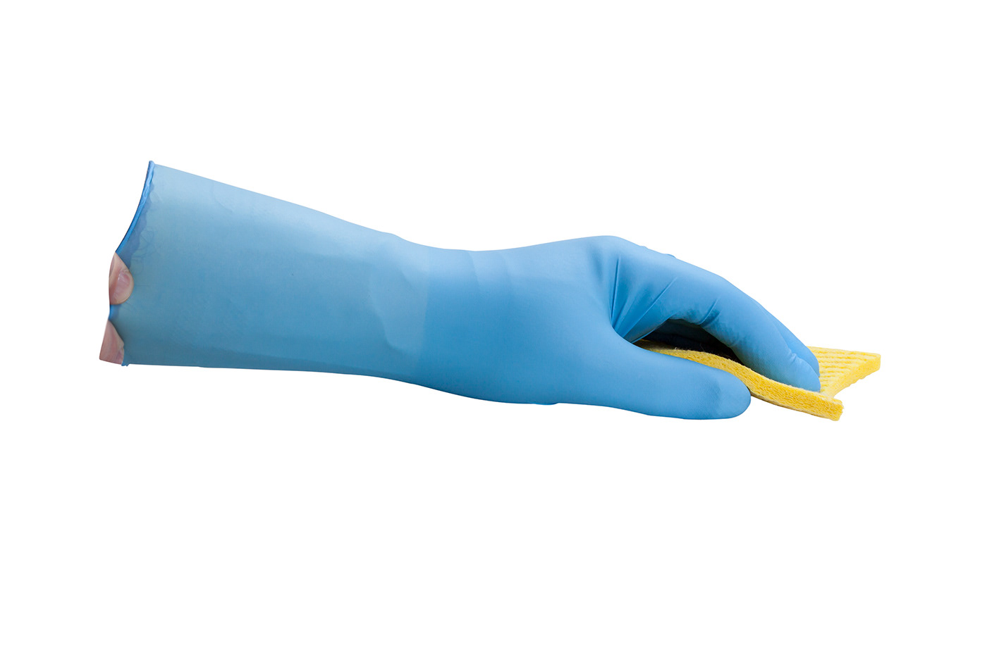 Original photography of blue gloved hand holding yellow sponge.
