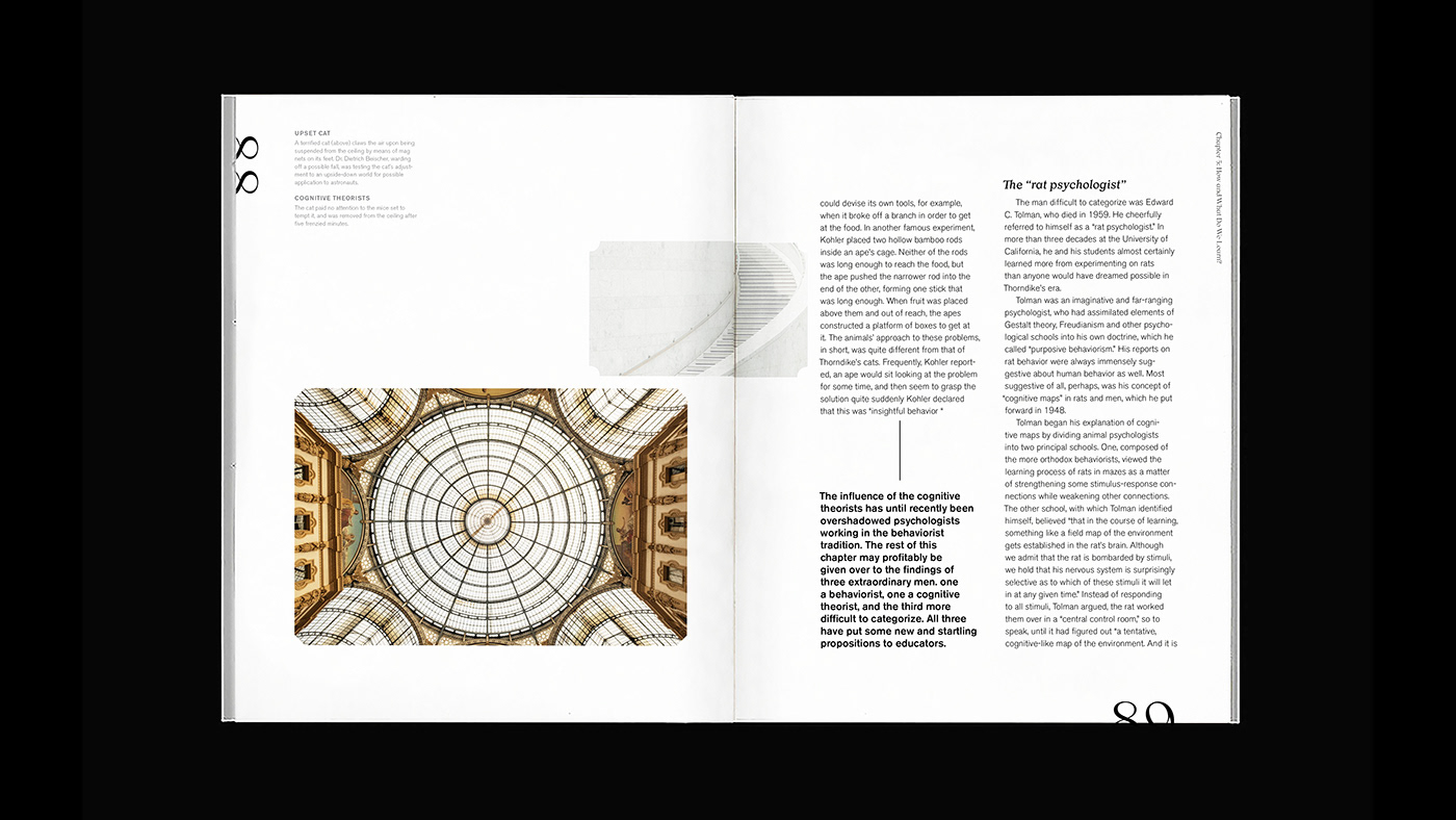 book book design editorial ILLUSTRATION  Layout mind photo book Picture book publication scientific