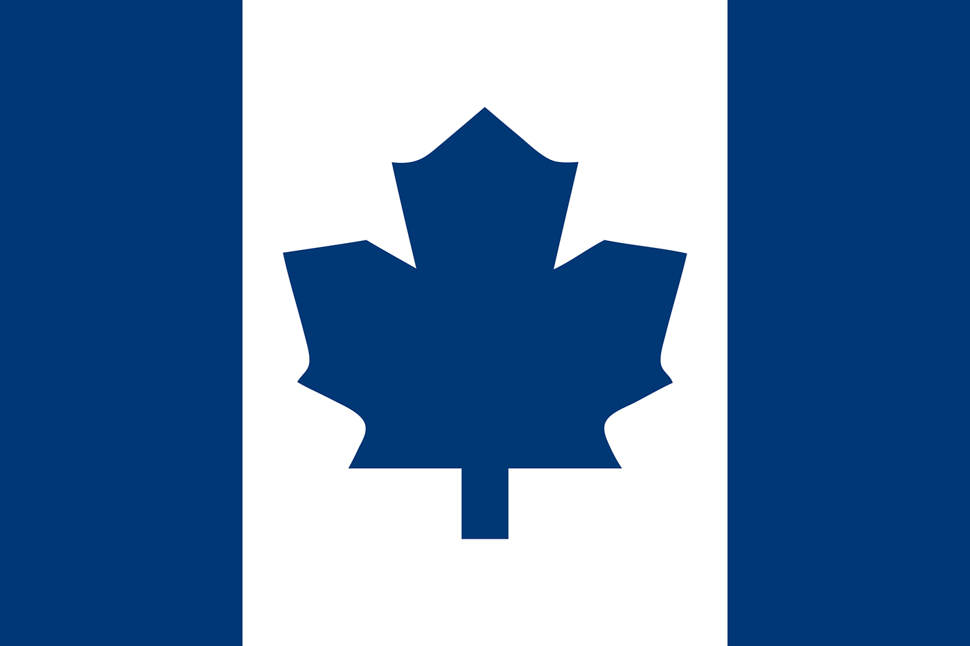 flag flags hockey NHL national league