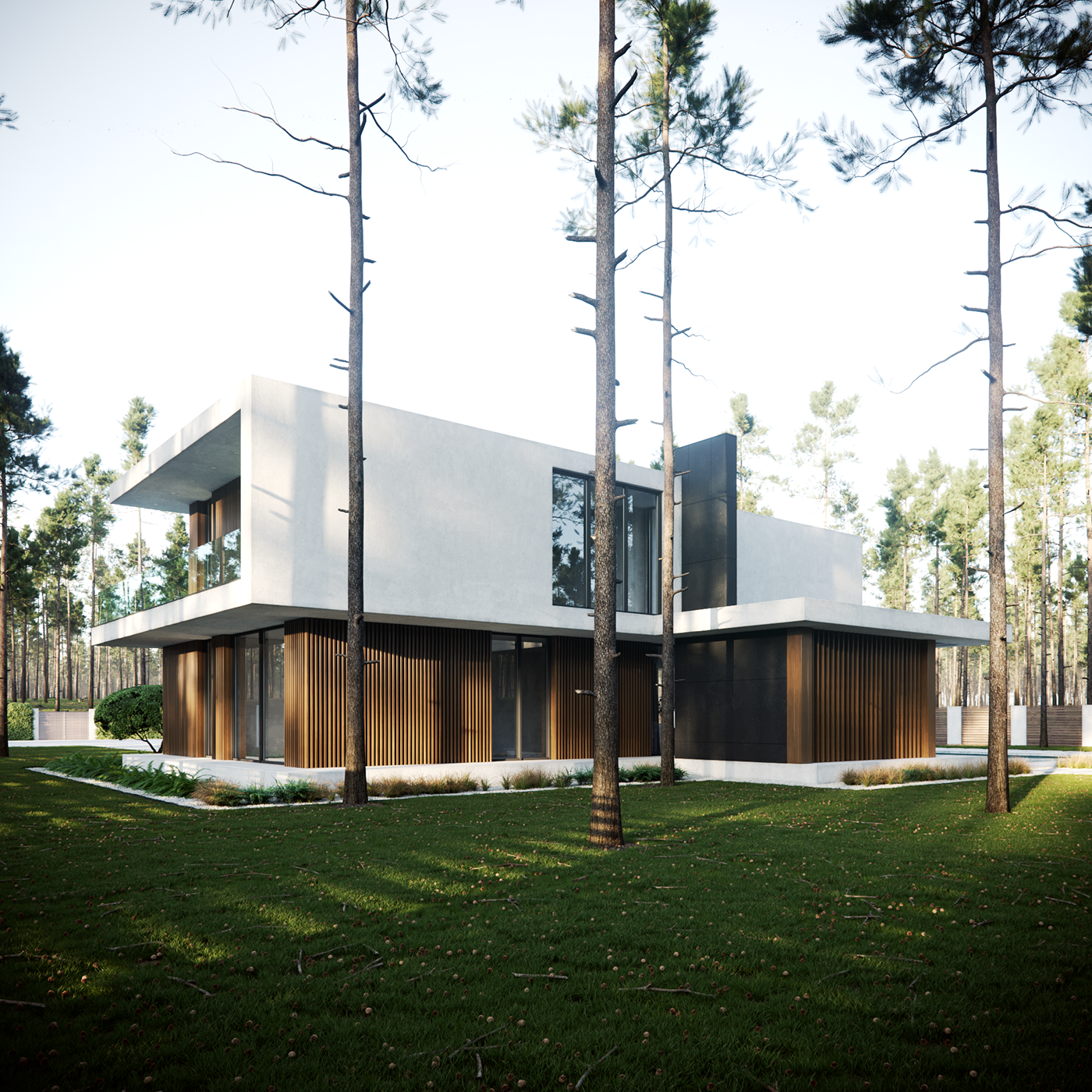 архитектура визуализация фотография architecture Photography  exterior forest modern house Minimalism