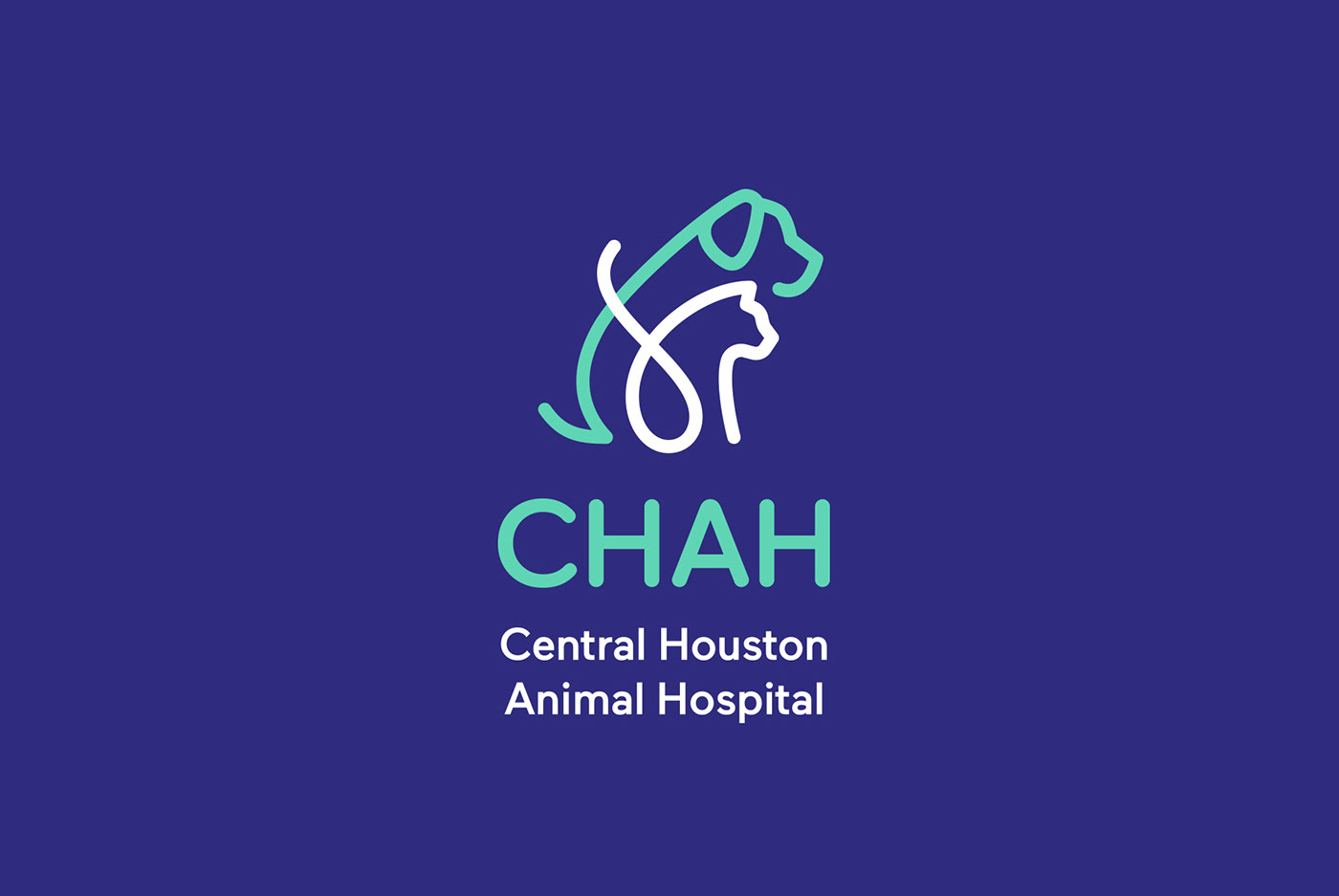branding  identity logo Website design veterinarian animals