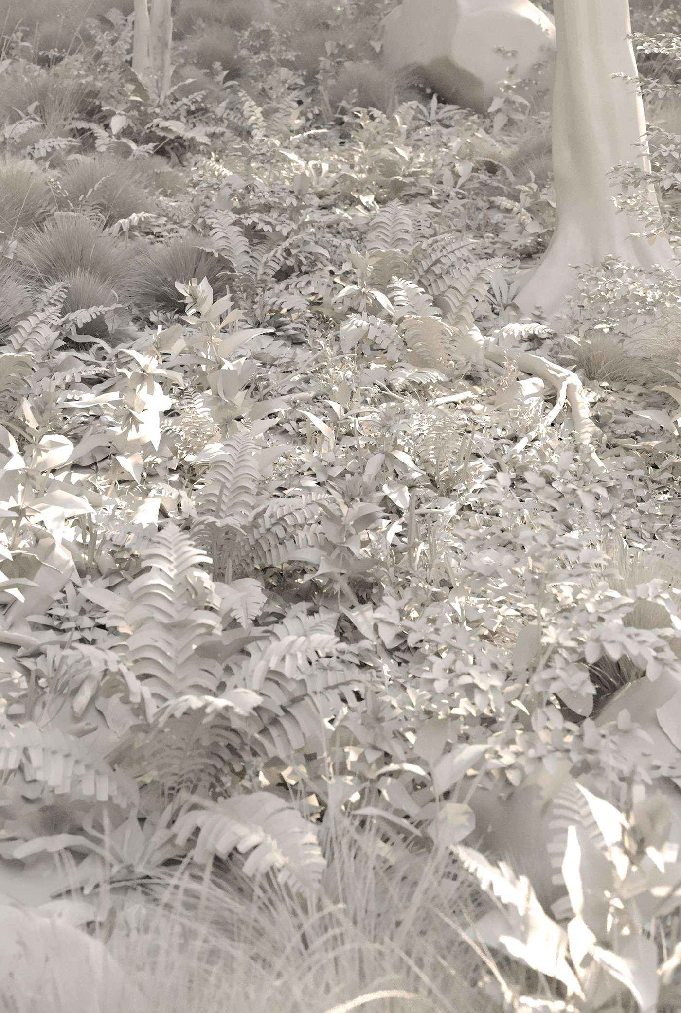 3D 3ds max archviz CGart CGI corona render  exterior forest Nature Render