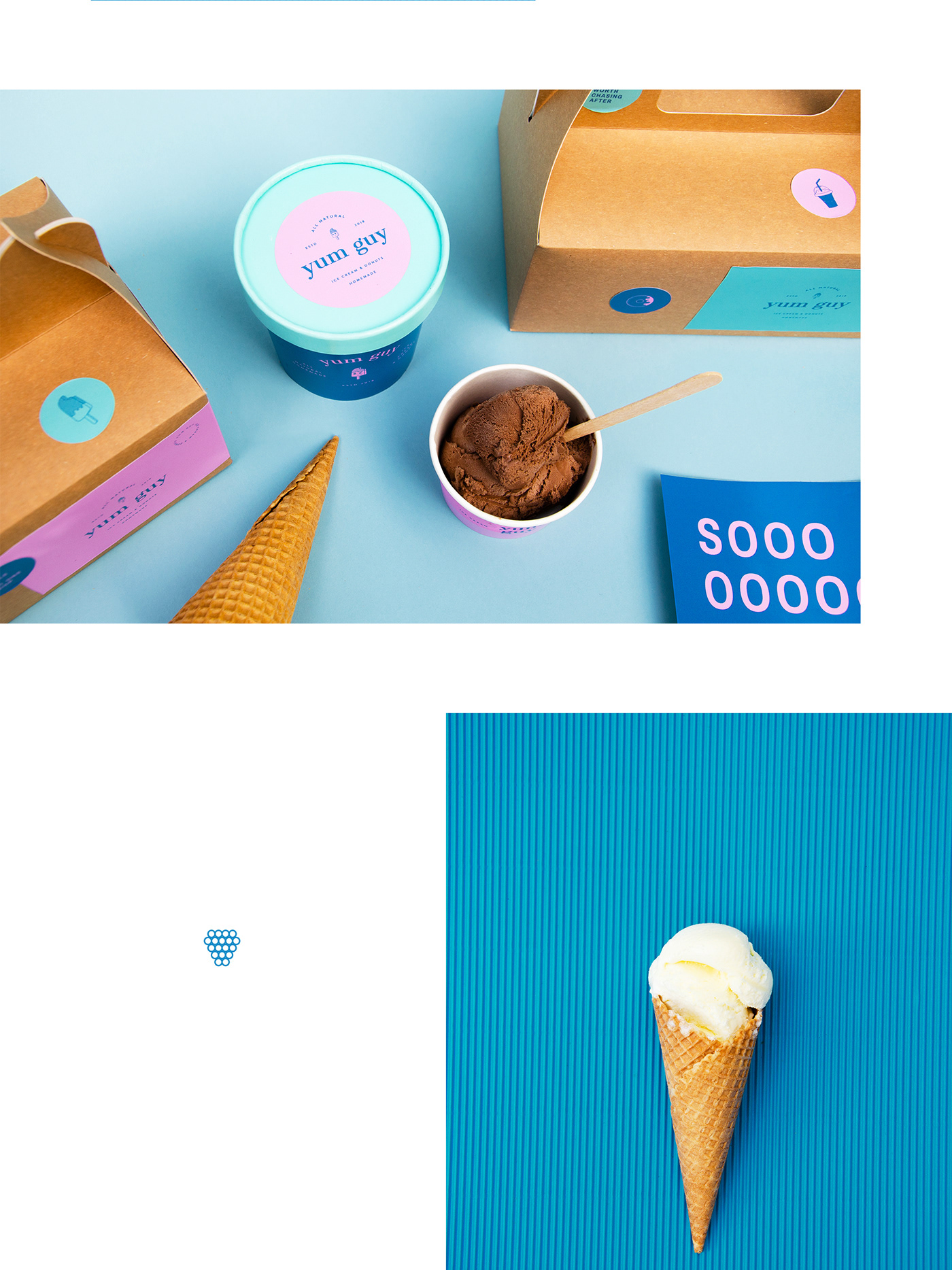 ice cream branding  logo Fun Packaging Food  Gelato minimal natural cafe