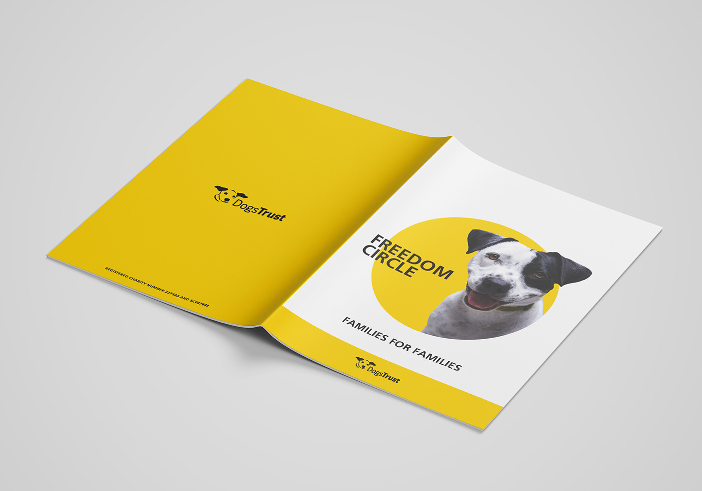 editorial magazine design dog branding  nonprofit Layout brochure freedomcircle dogstrust