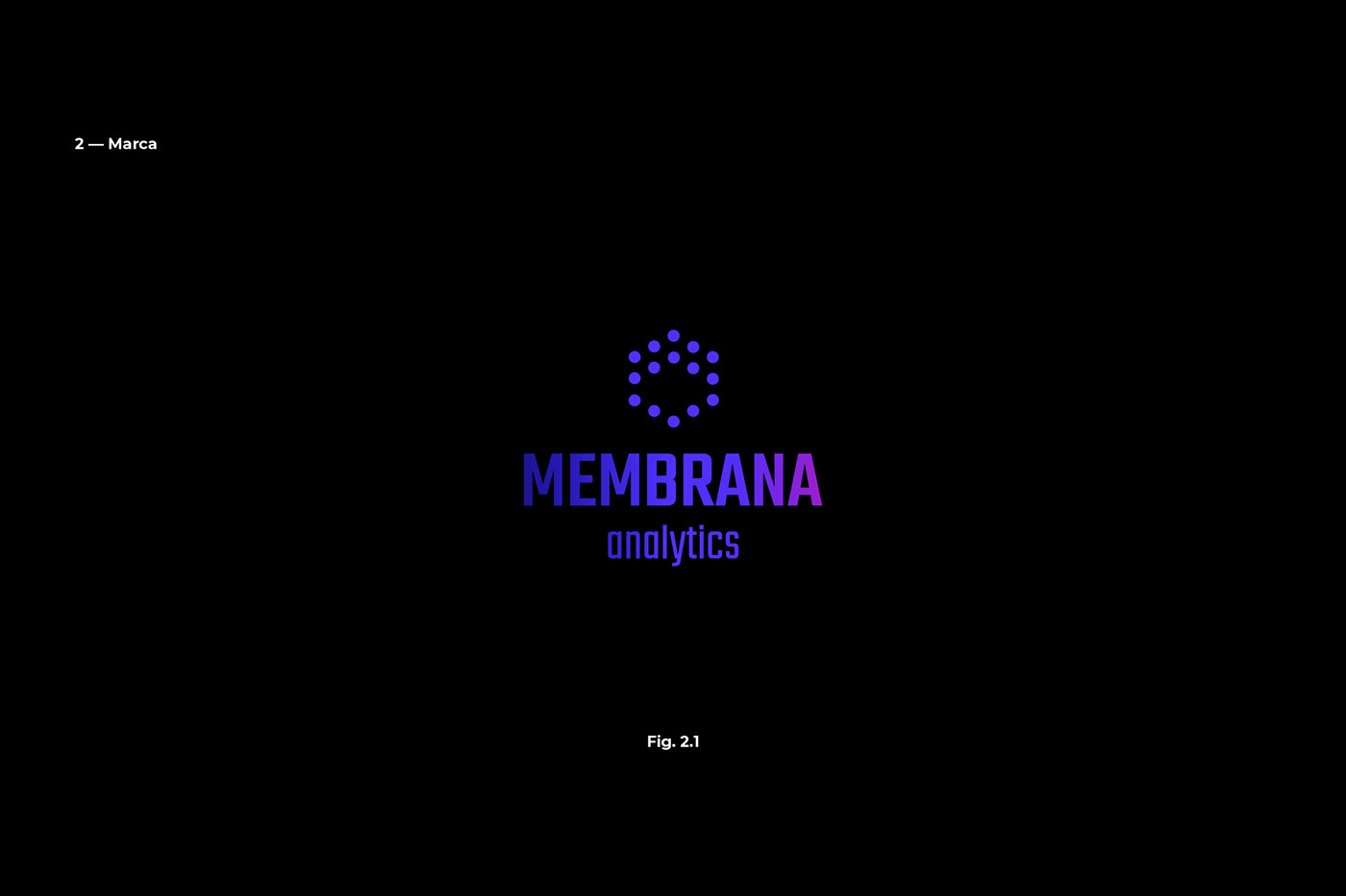 data visualization art direction  branding  naming Big Data