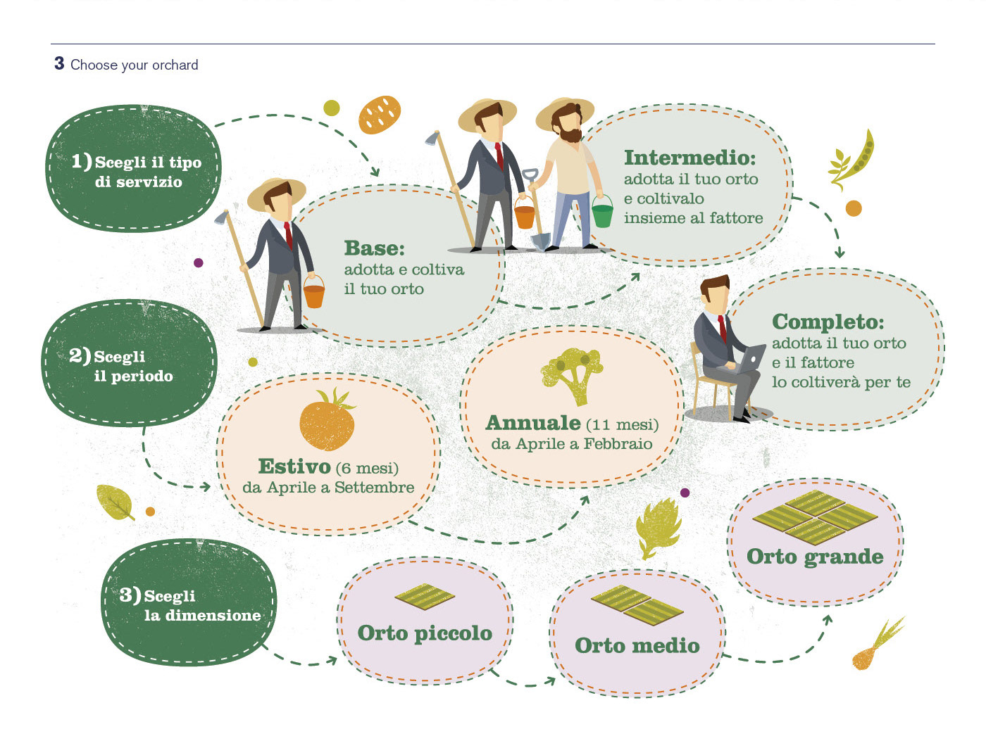 infographic for organic farm brochure