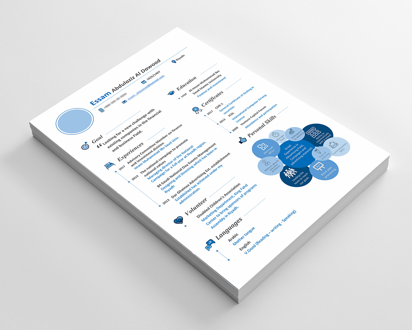 Resume infographic CV creative