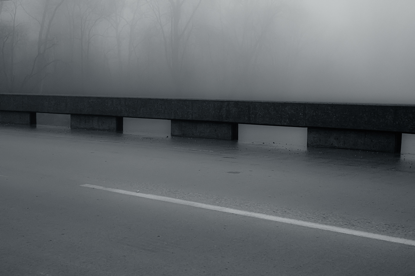 fog Photography  Bronco automotive   Ford
