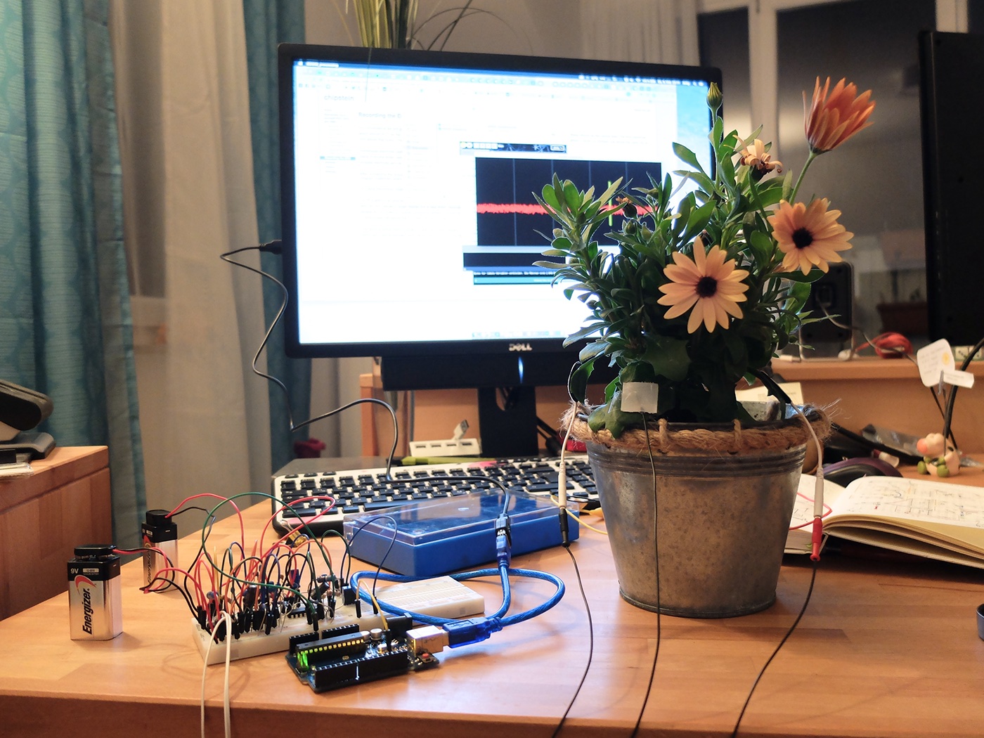 sonification electronic Arduino MaxMsp experiment Plant signals