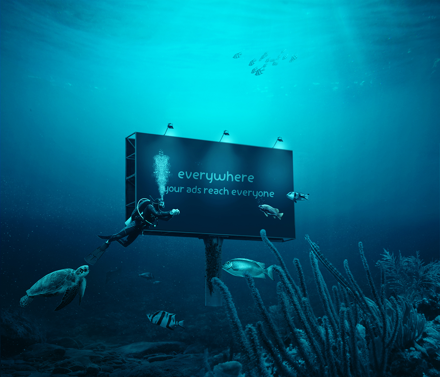 underwater fish sez sucobdiveing creative manipulation billboard
