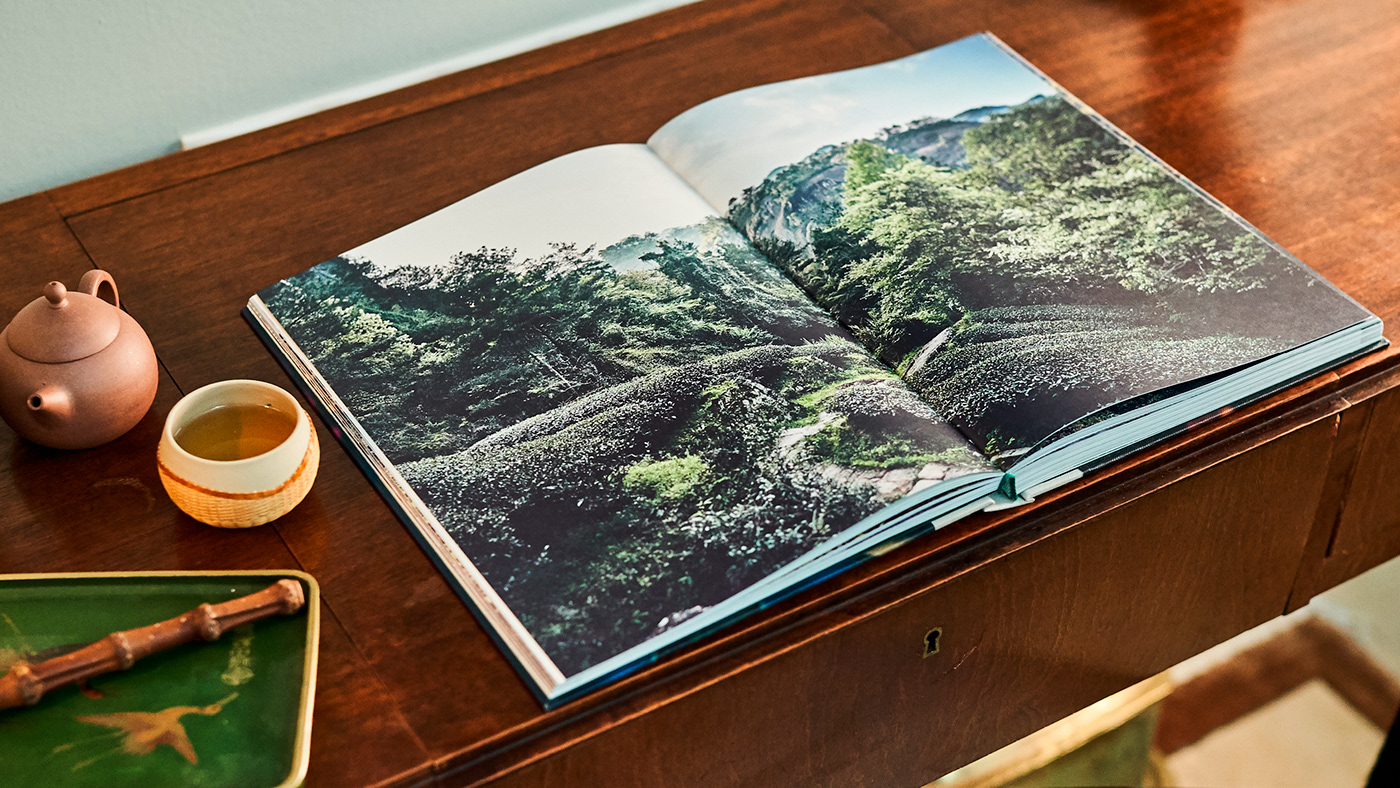 Bookdesign graphic design photo teatrip