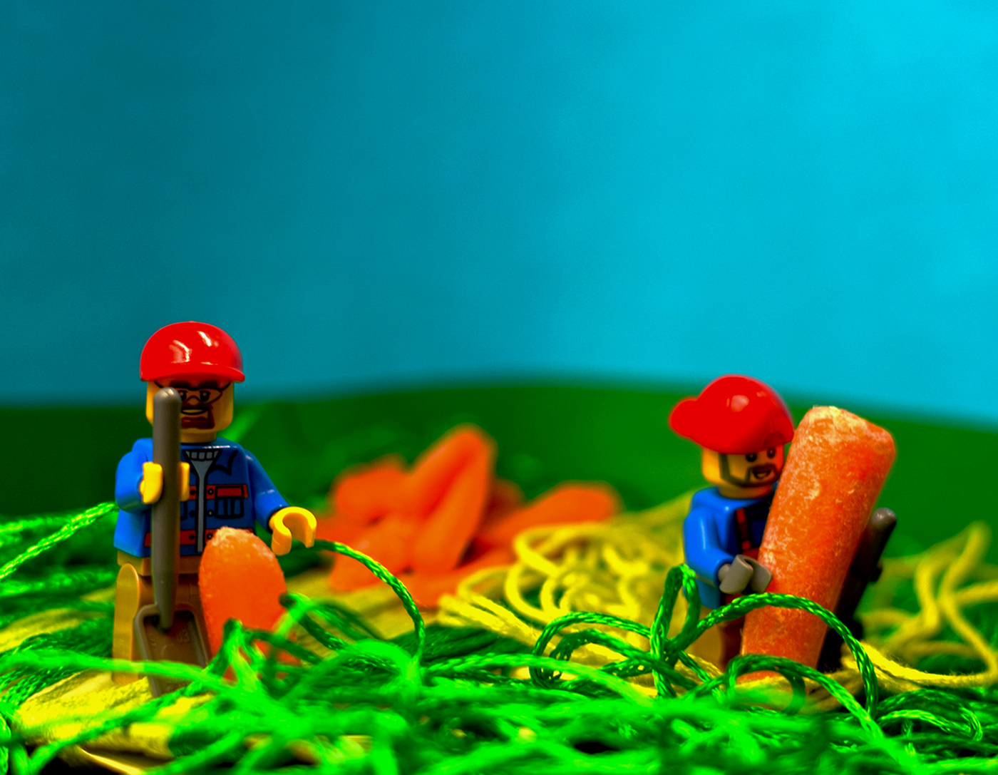 beauty Creative Design Creative Photography fotografia creativa LEGO zanahoria
