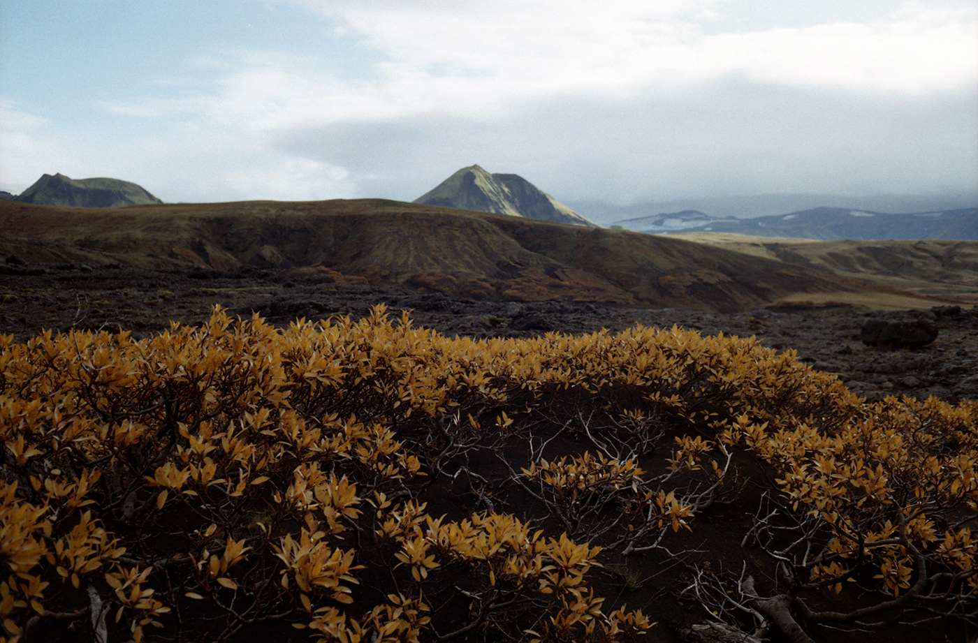 analog Film   film photography iceland moodboard mountains Outdoor Photography  Project Travel