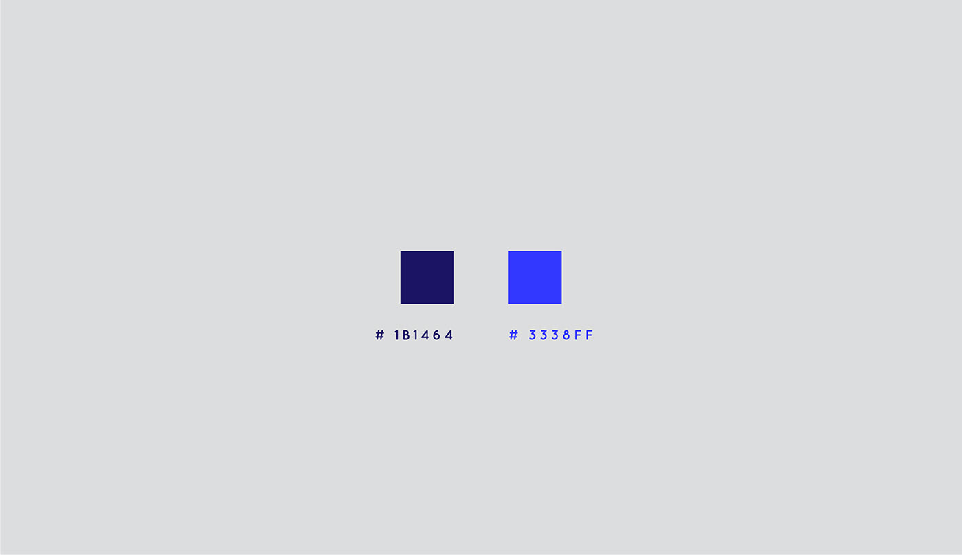 logo logodesign Printing branding  blue design sarvnaghsh sarvnaghshstudio