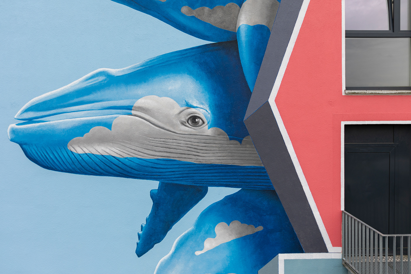 artwork bear hamburg house killerwhale Mural painting   sperm whale streetart Whale