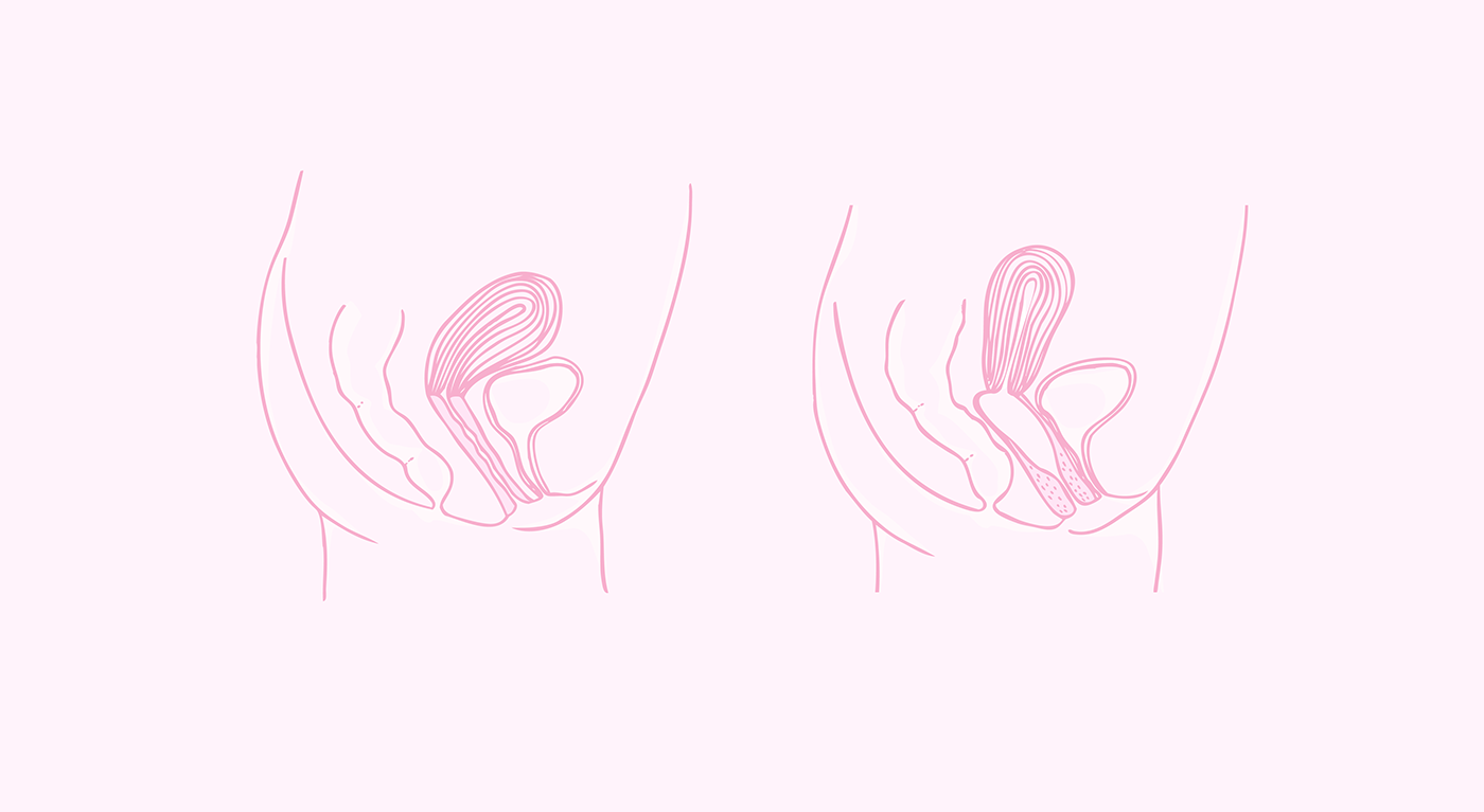 sexo vulva vagina editorial design  CMYK design editorial sexual prazer