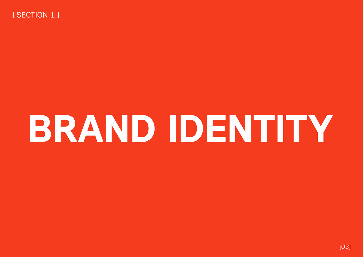 design brand identity portfolio Portfolio Design CV Curriculum Vitae Social Media Design clothing design Typeface Layout Design