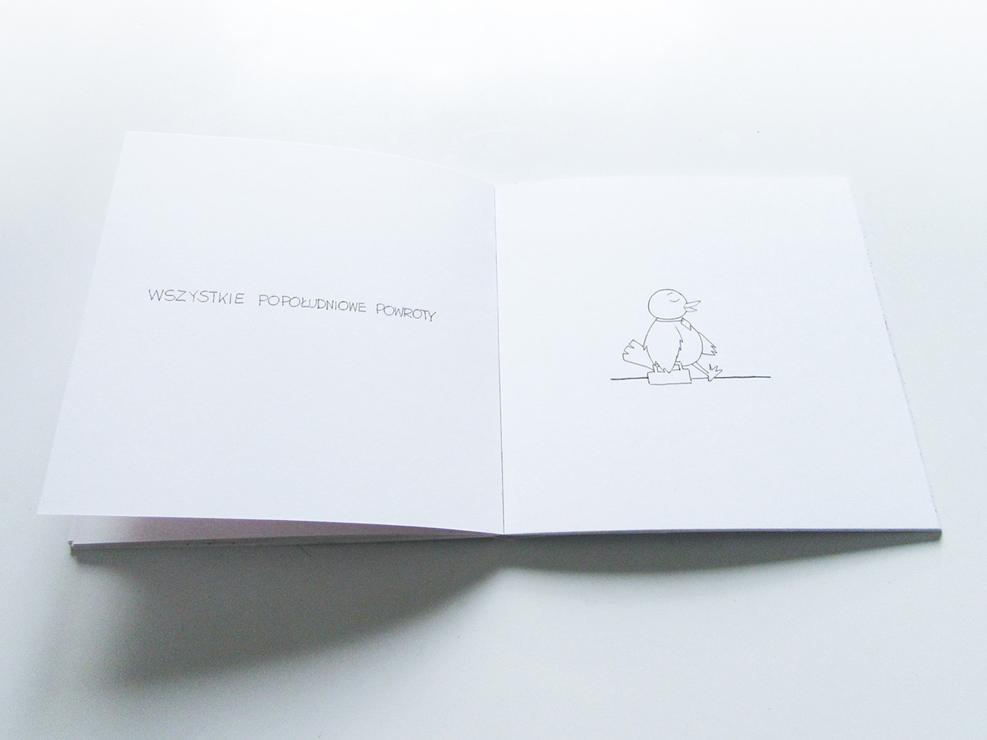 minimalist drawning happiness artbook book illustrations #birds beatiful drawnings