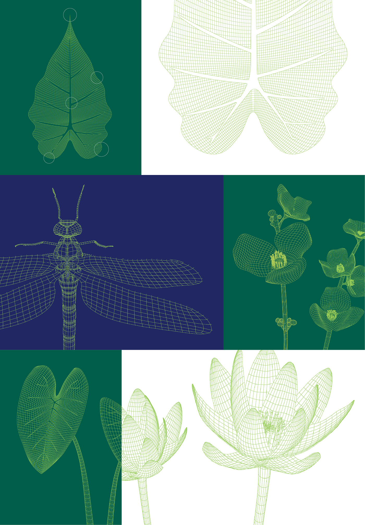 3D illustration botanical garden nature-based solutions plants Technology sbn visual identity wireframe b2b