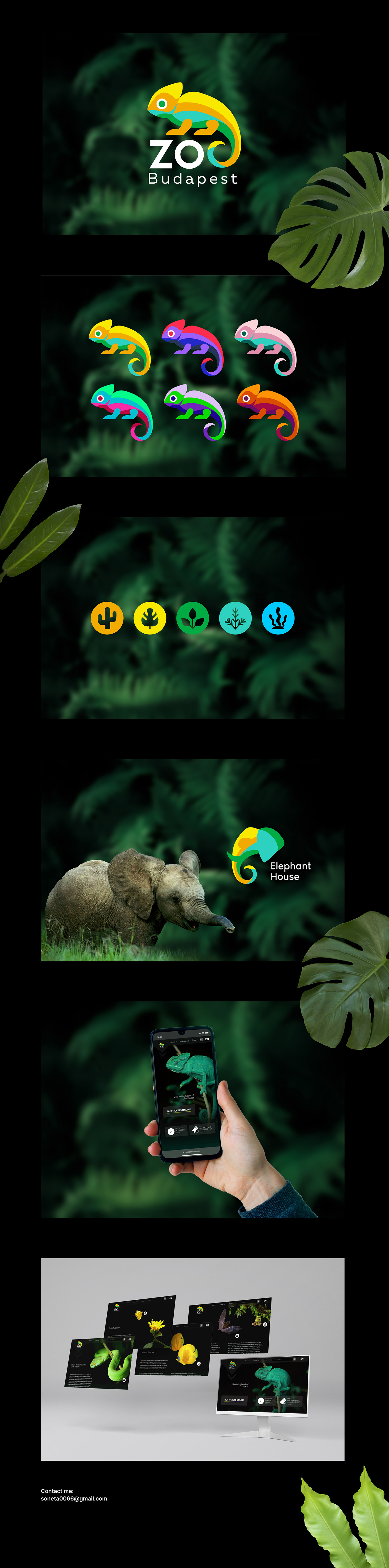 logo Logo Design chameleon Icon animals Website UI/UX Figma zoo