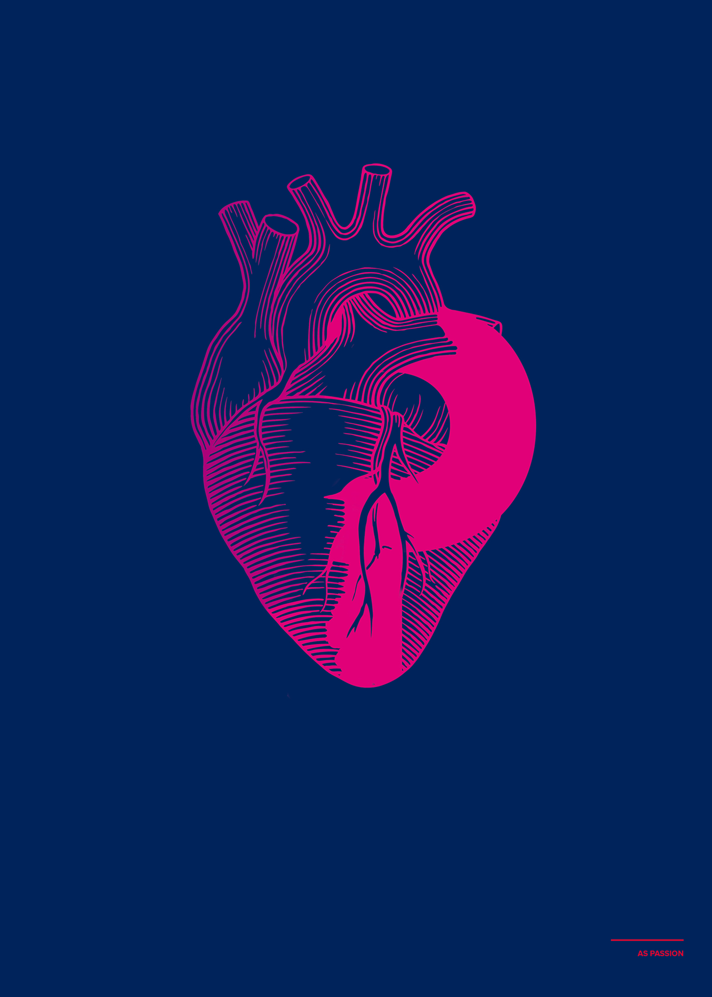 ILLUSTRATION  typography   blu magenta poster heart passion