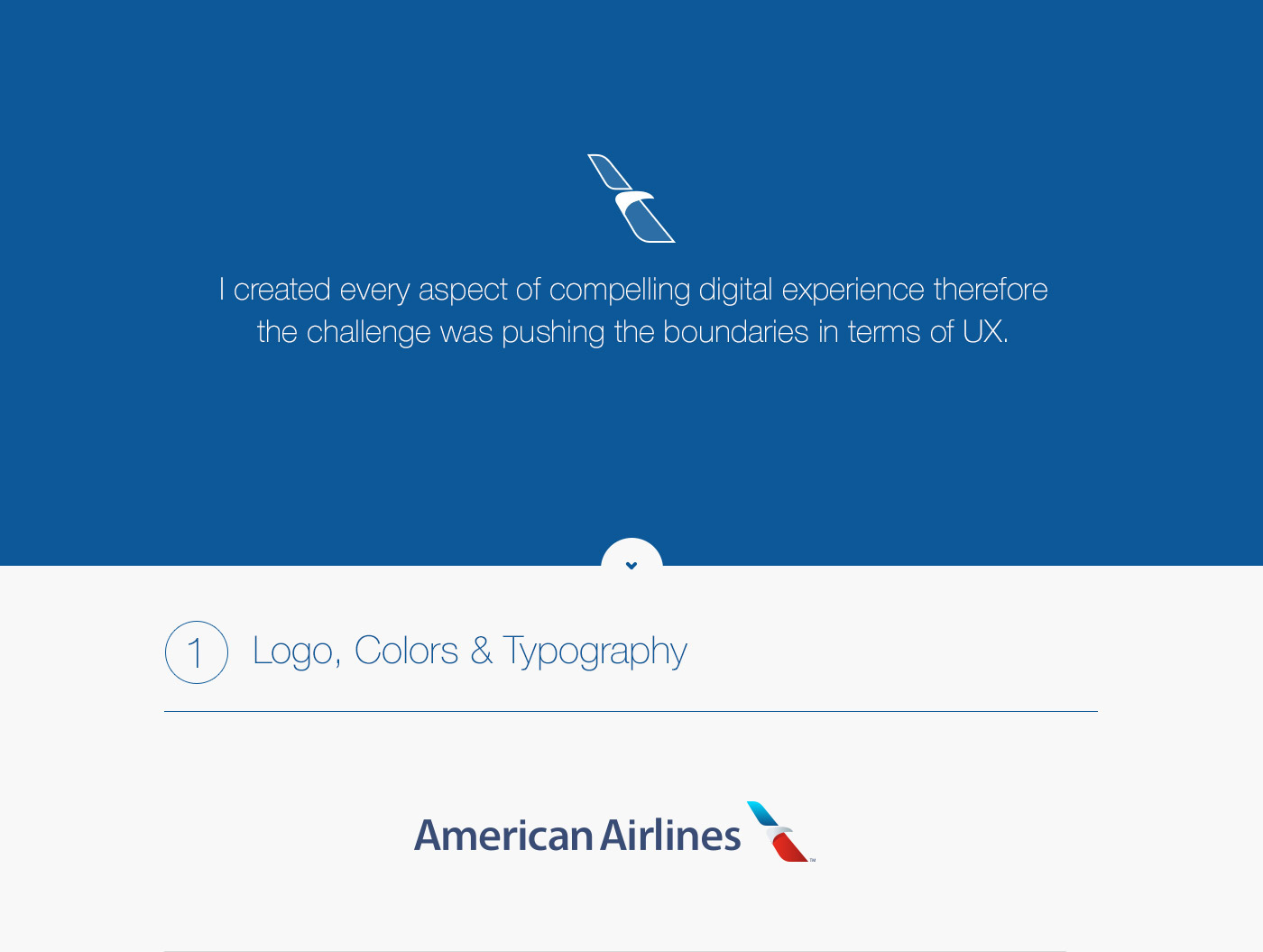 UX design flat design American Airlines istanbul usa blue red corporate Airlines interaction Helvetica Neue Usability user centric iconography Layout