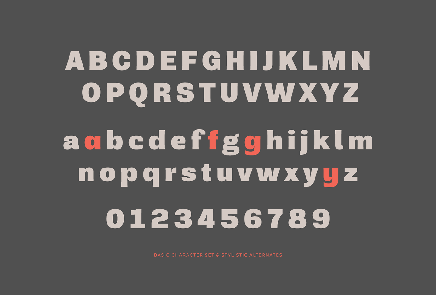 Rude Pedro Leal Typeface font sans slab DSType