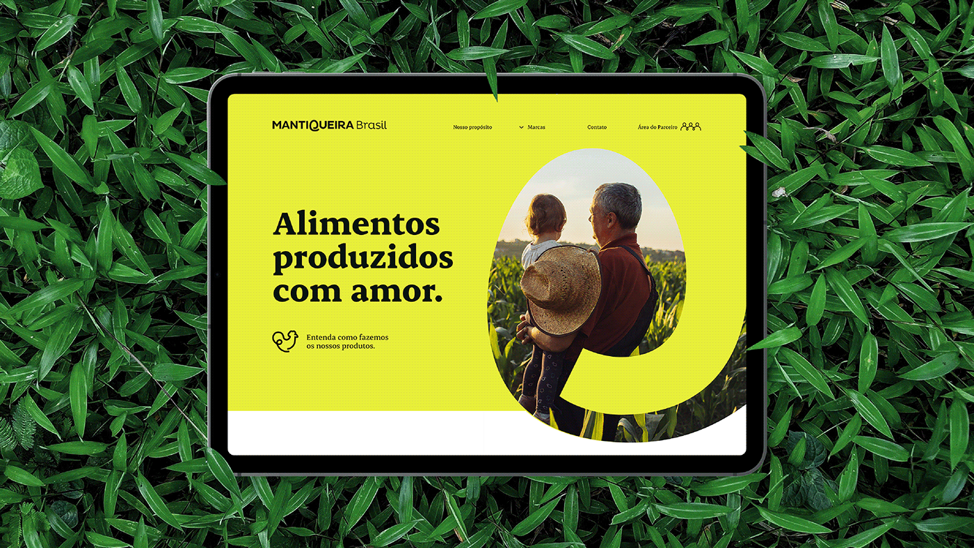 Ana Couto brand identity branding  design eggs farm fazenda ovos visual