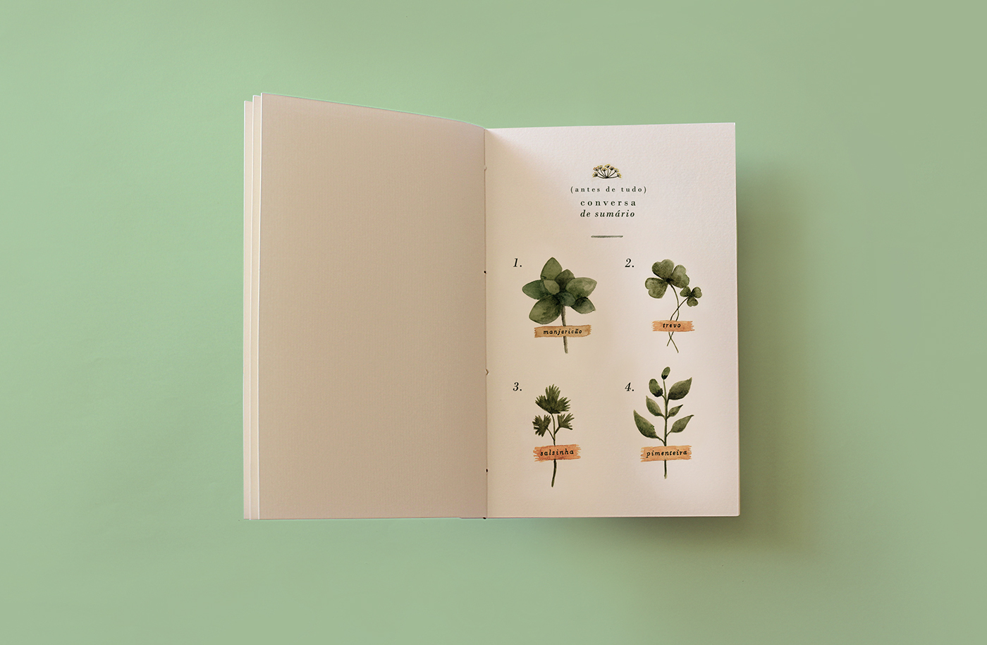 watercolor book editorial handmade Bookbinding plants Nature botanical painting   ILLUSTRATION 