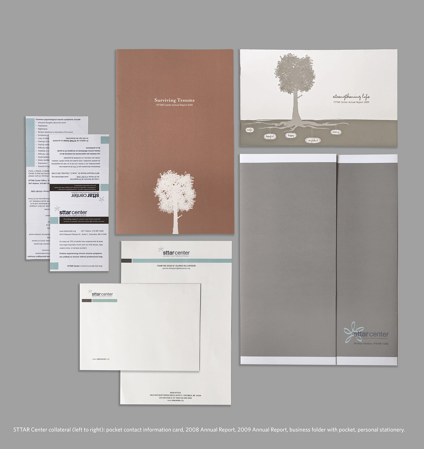 annual report branding  business collateral business folder design graphic design  Stationery