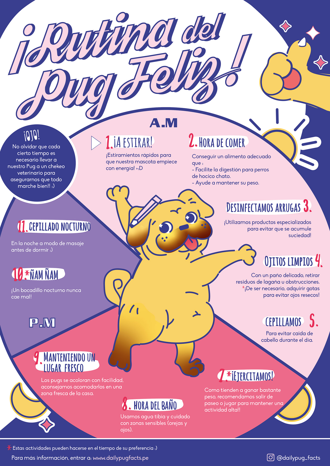 infographic infographics information design infografia pets Pet cute cute illustration cute animals ilustration