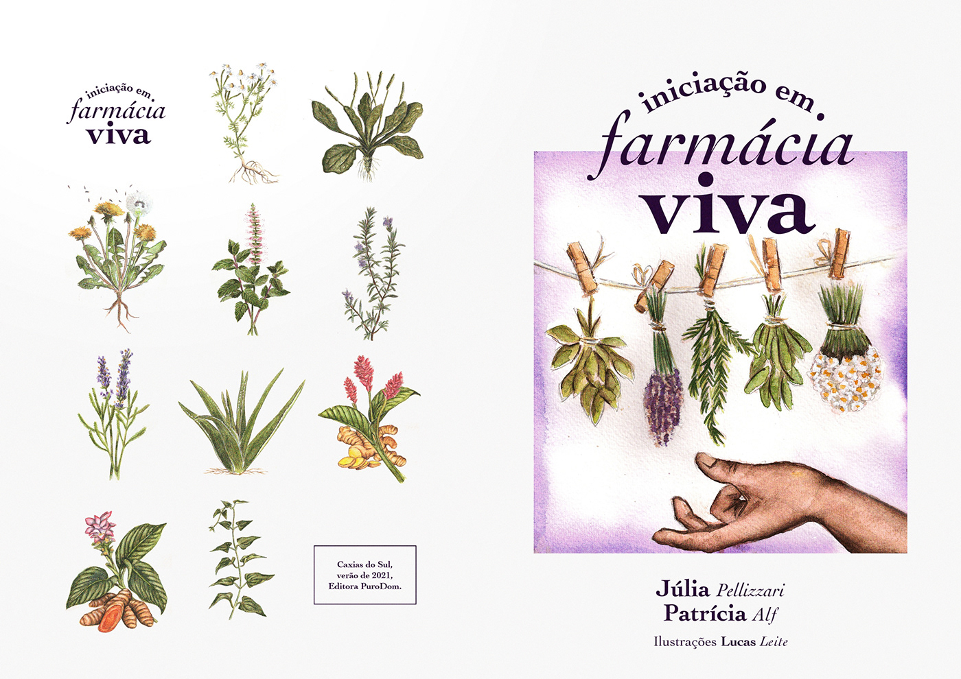 ILLUSTRATION  bookcover Bookdesign graphic design  botanical watercolor Drawing  plants botanical illustration