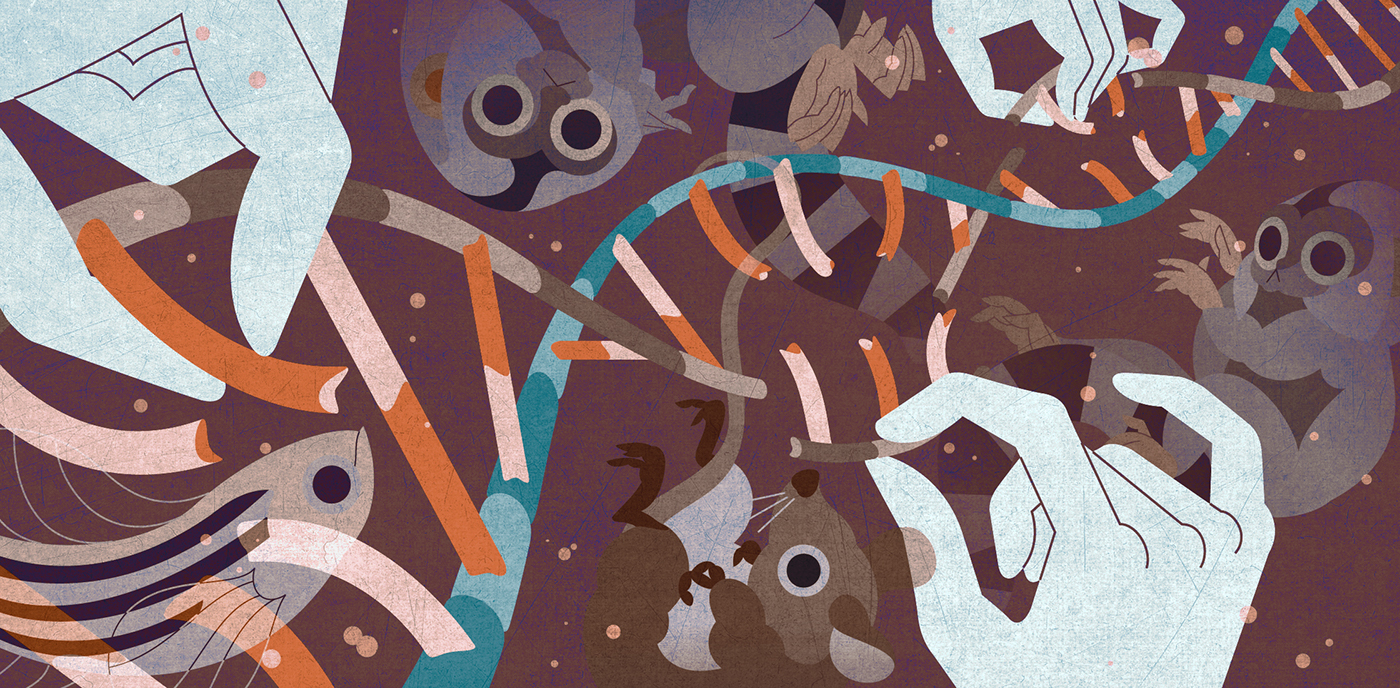 illustri poster affiche artbook woman texture Illustrator lion vector renard volpe FOX astronaut cosmonaut digital