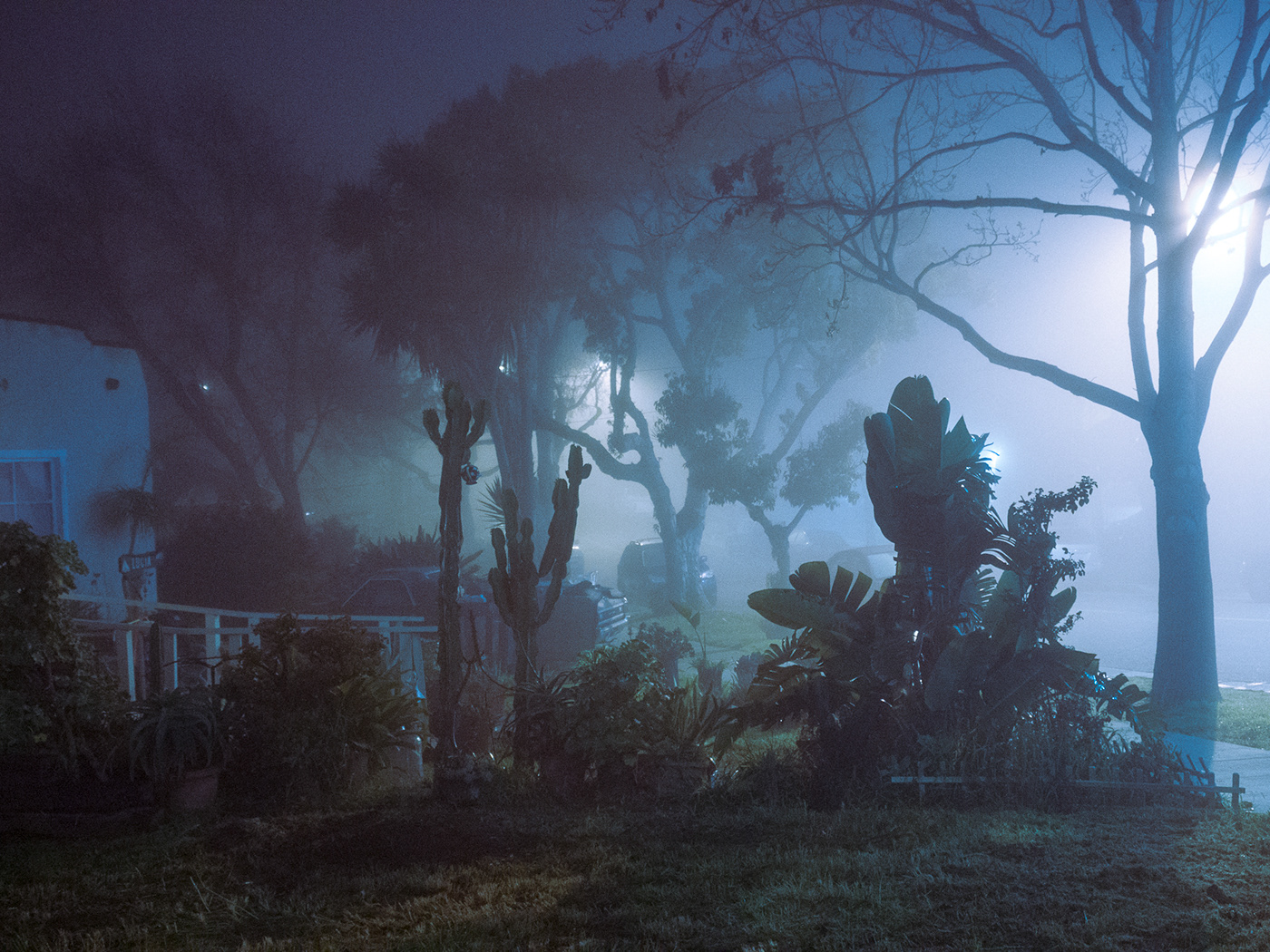 mystery night photography mysterious psychedelic design Nature landscape photography Creative Direction  blue fog