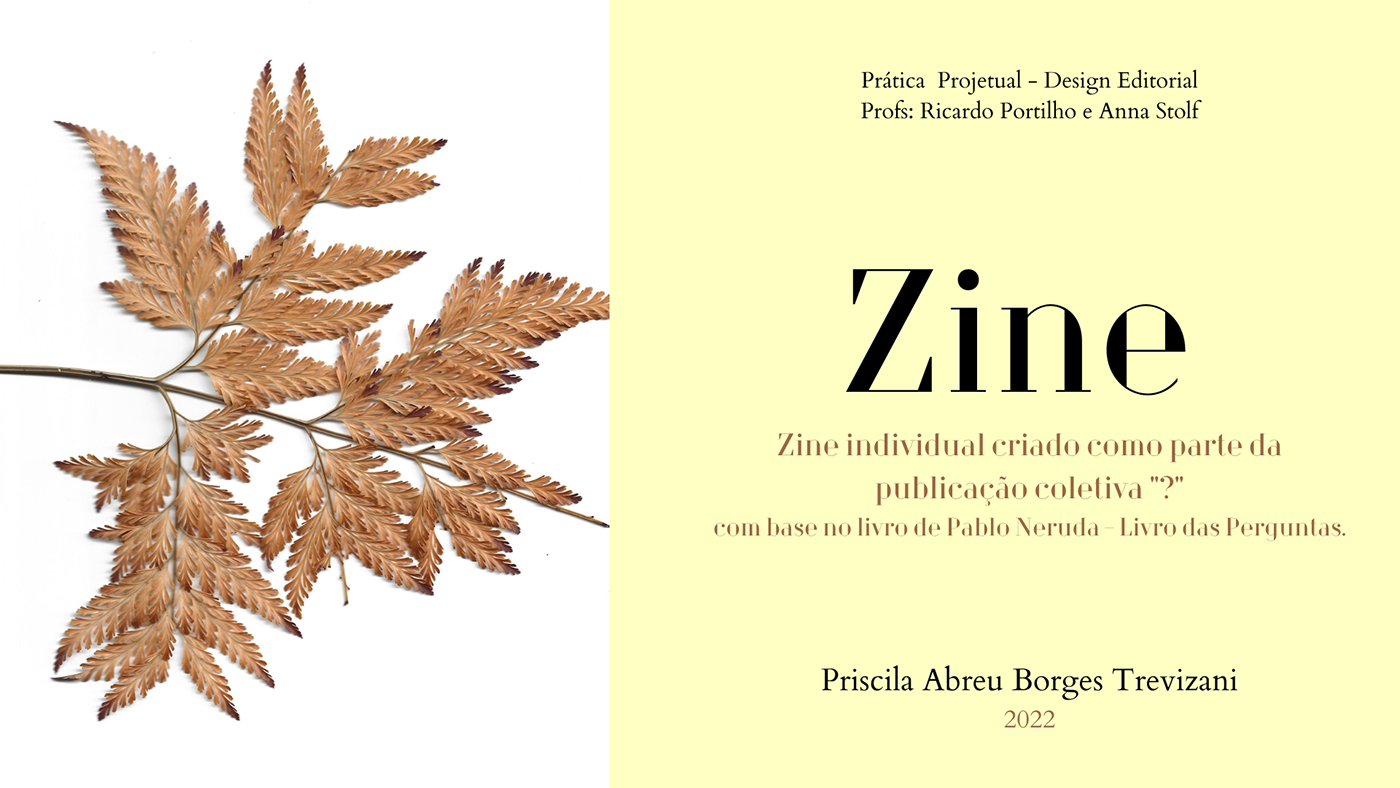 Zine Design ilustration scanner experimental editorial Graphic Designer UEMG