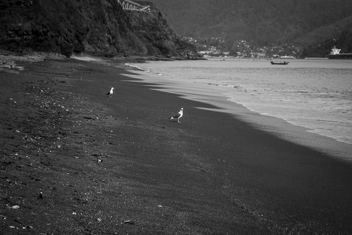 bn blanco y negro black and white valdivia chile photo amateur