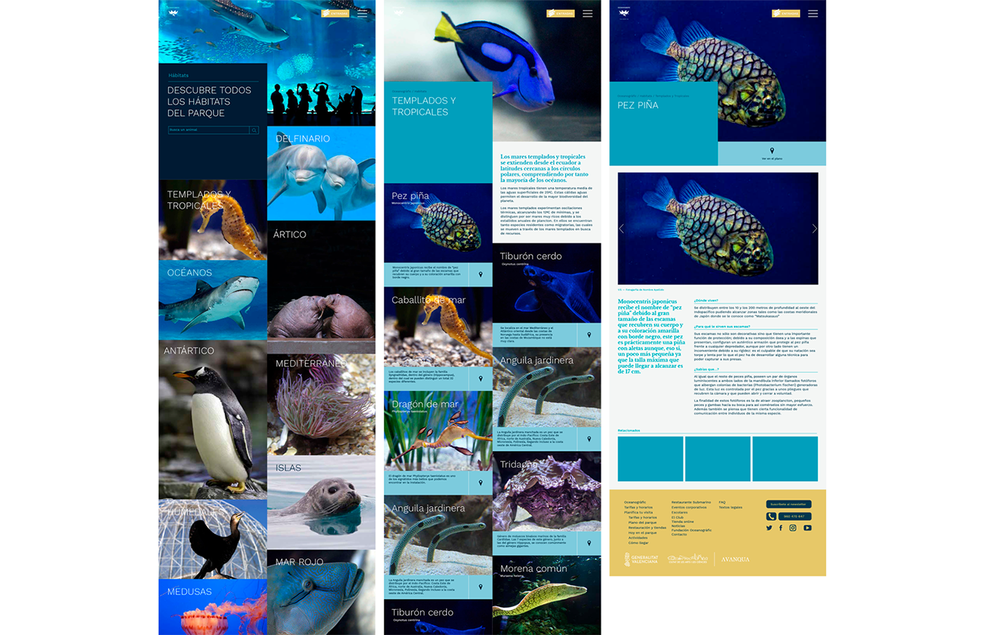 Web diseño Oceanografico valencia acuario ux UI desarrollo
