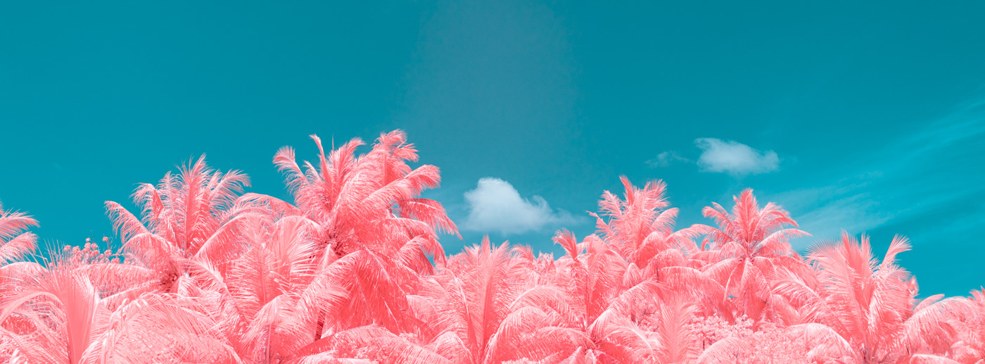 infrared Maldives beach surreal colorful pink coral Island palms sea