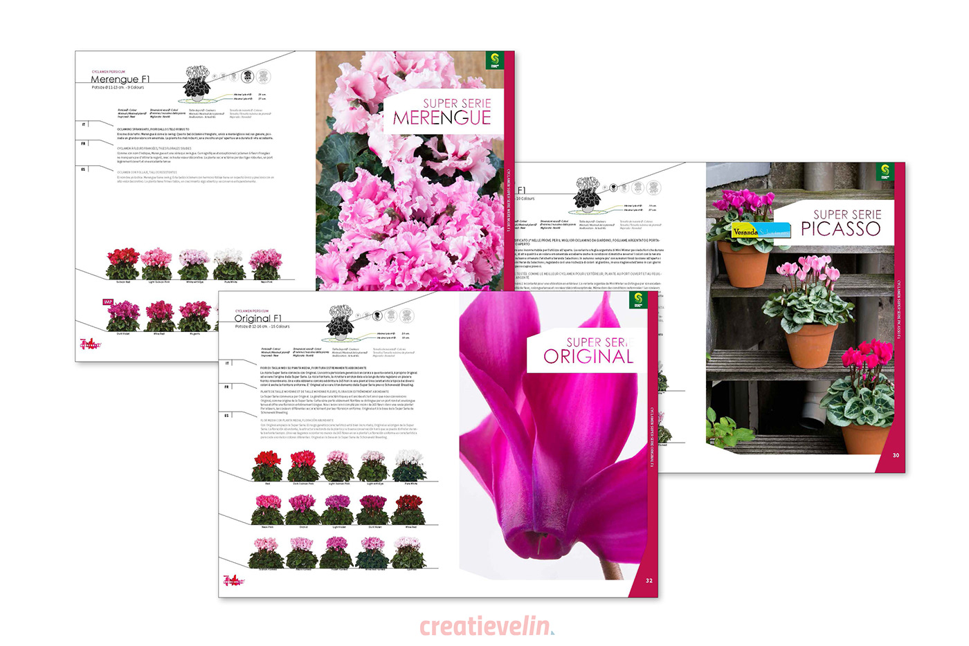 branding  brochure catalogi catalogus flyers Webdesign