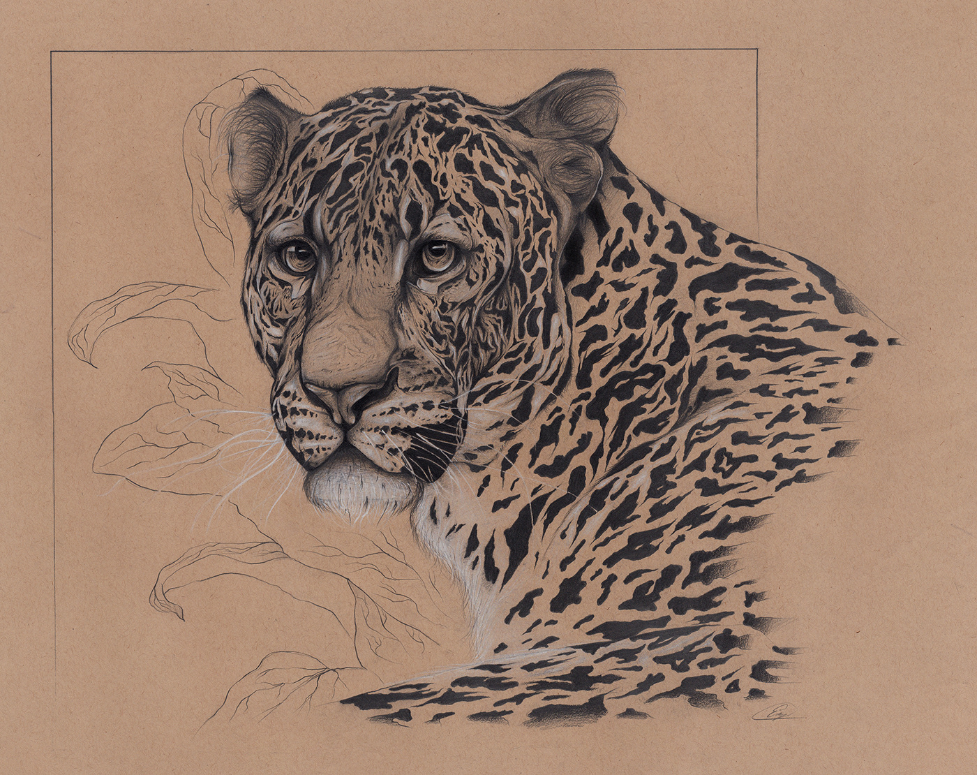 animals Drawing  sketchbook sketchpad