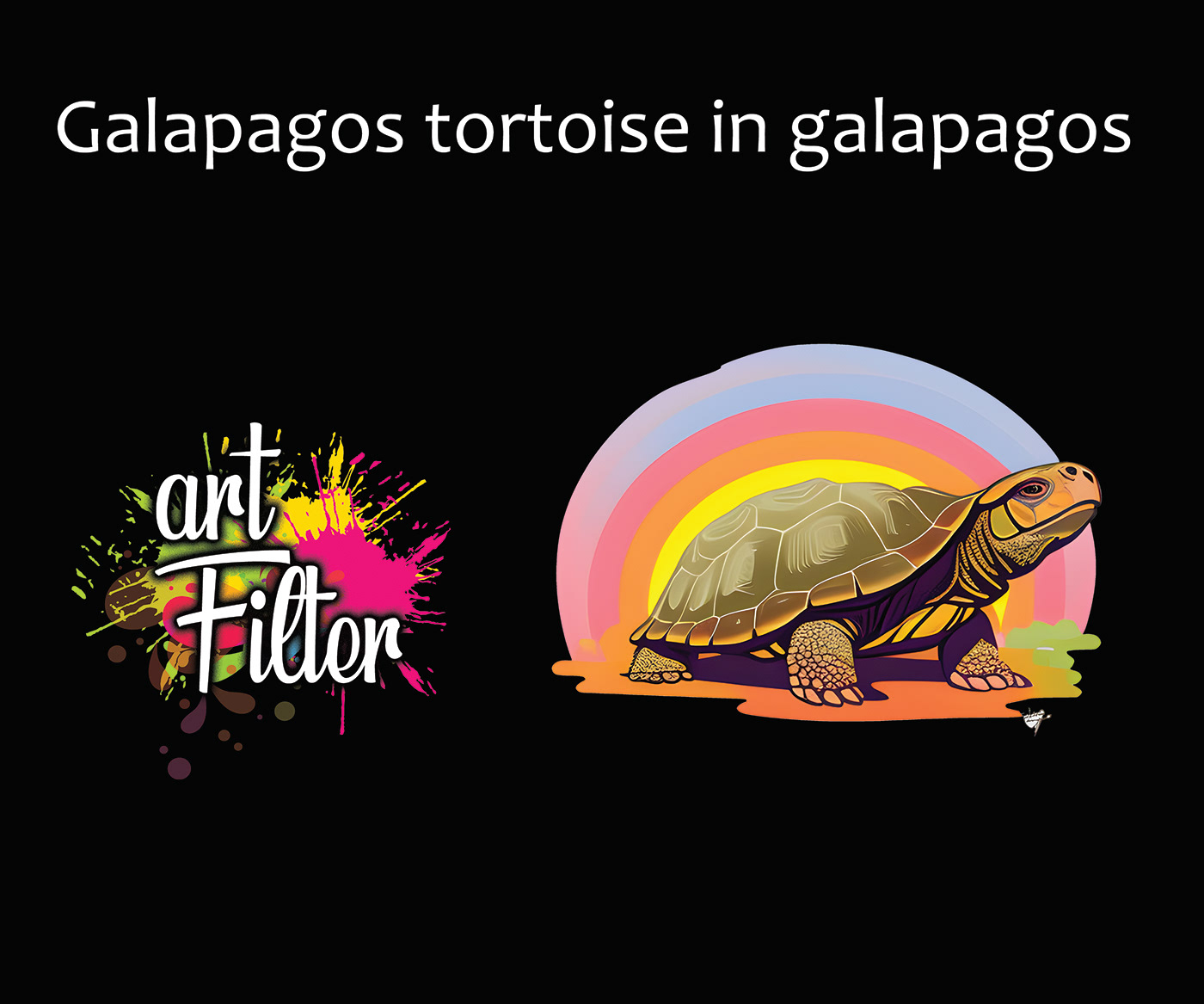 tortoise Galapagos Turtle reptile animals cute shell art Island Galapagos Tortoise