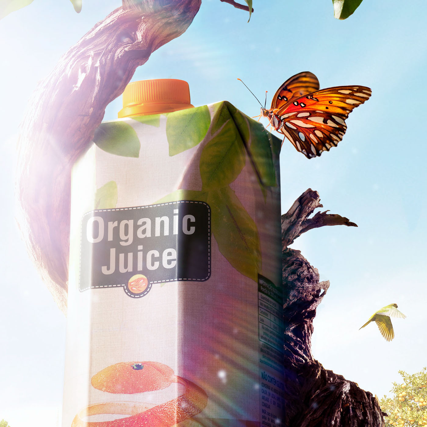 oranges natural juice product