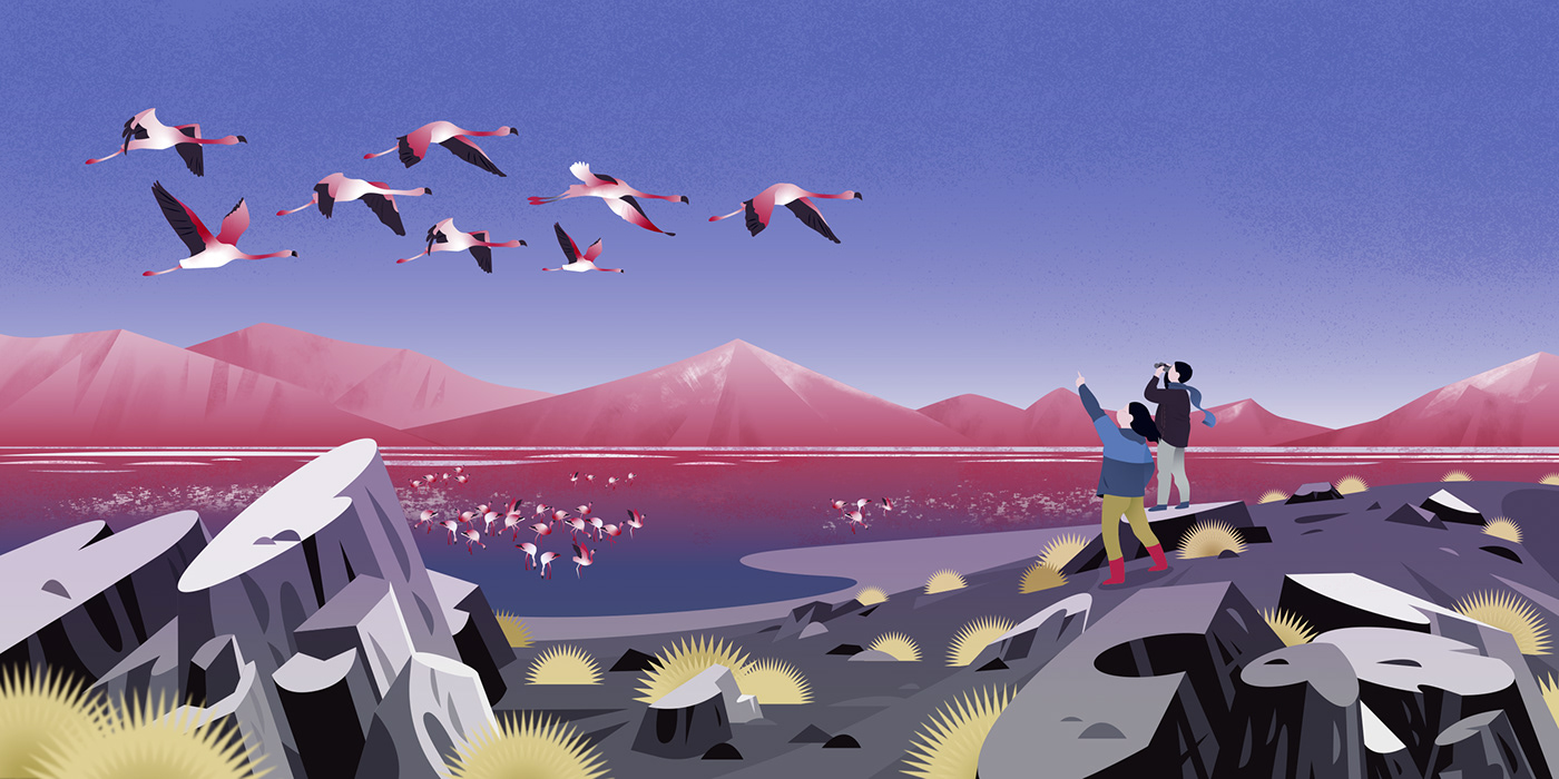 bolivia editorial flamingo Fun Landscape mountain Nature Travel Uyuni vacation