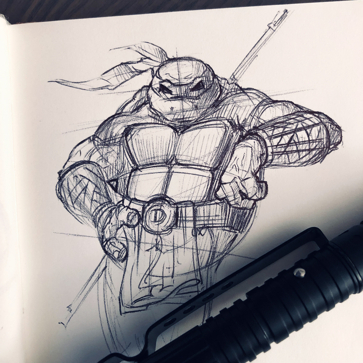 Hand Sketches doodles sketches ballsketches vladimir schitt Ninja Turtles