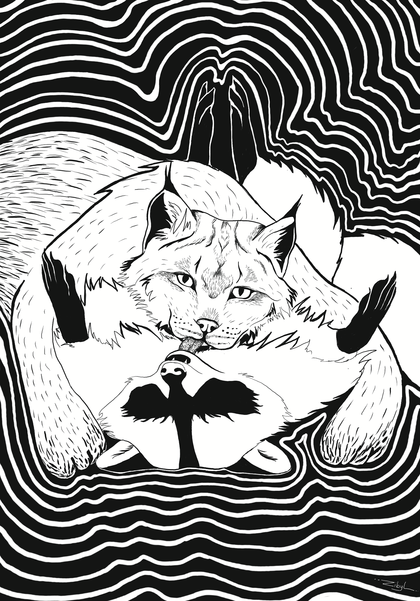 Drawing  digital illustration арт ILLUSTRATION  lynx raccoon Love psychedelic design surreal