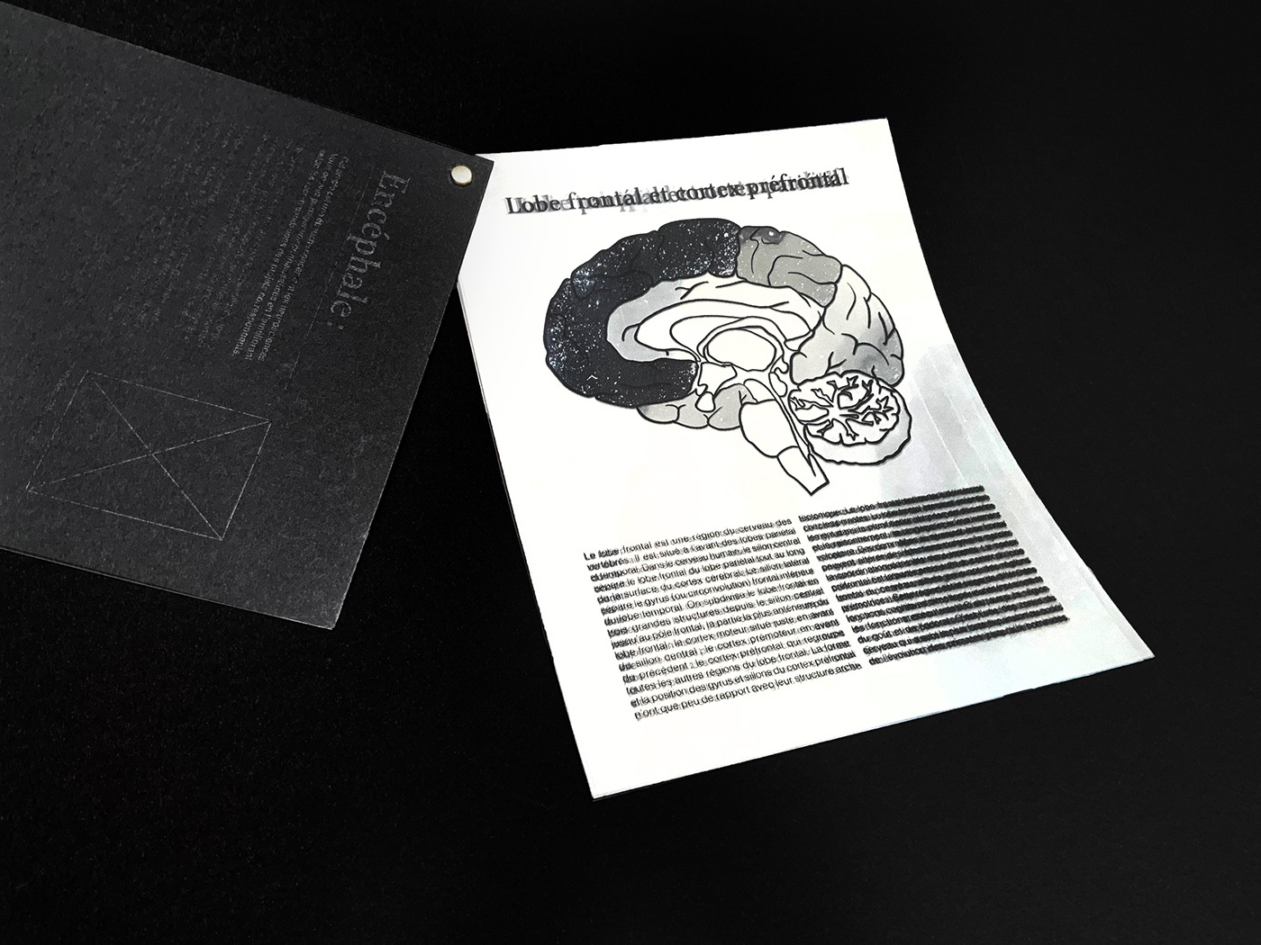 black brain design editorial fanzine human paper press White Wikipedia